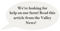 We’re looking for help on our farm! Read this article from the Valley News!